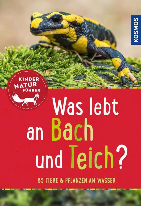 Was lebt an Bach und Teich? - Saan - Livros -  - 9783440147993 - 