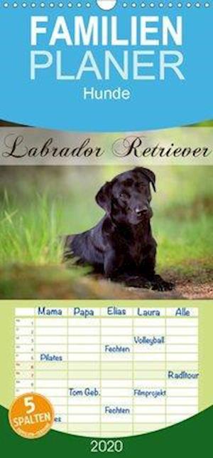 Cover for Noack · Labrador Retriever - Familienplan (Book)