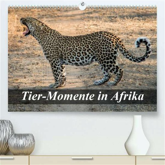 Cover for Janssen · Tier-Momente in Afrika (Premium (Book)