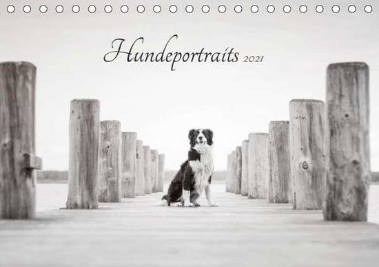 Cover for Pohle · Hundeportraits 2021 (Tischkalende (Bog)