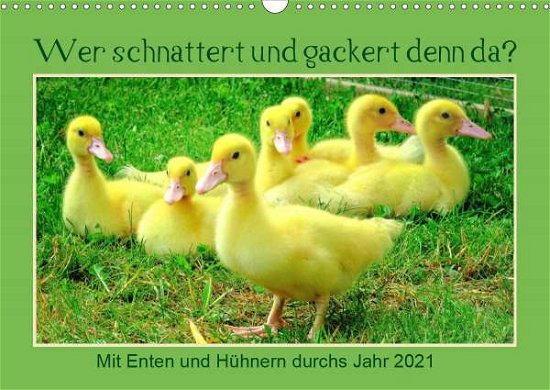 Cover for Löwer · Wer gackert und schnattert denn d (Buch)