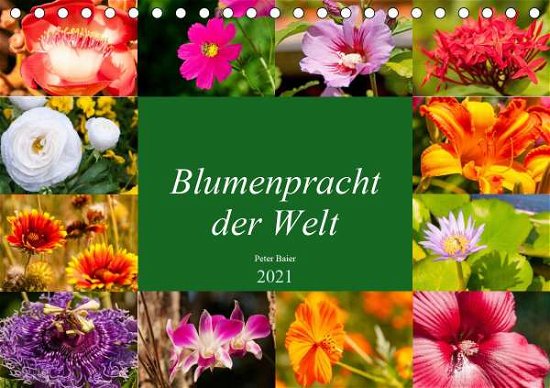 Cover for Baier · Blumenpracht der Welt (Tischkalen (Bog)