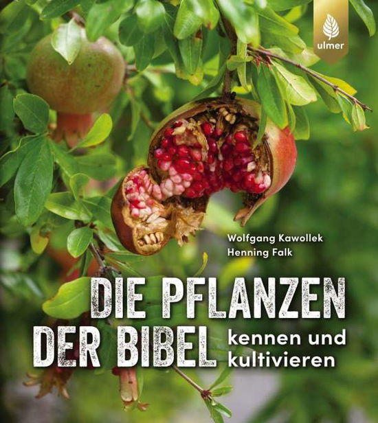 Cover for Kawollek · Die Pflanzen der Bibel (Book)