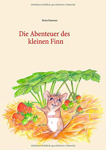 Die Abenteuer Des Kleinen Finn - Britta Kummer - Books - Books on Demand - 9783844815993 - August 20, 2014