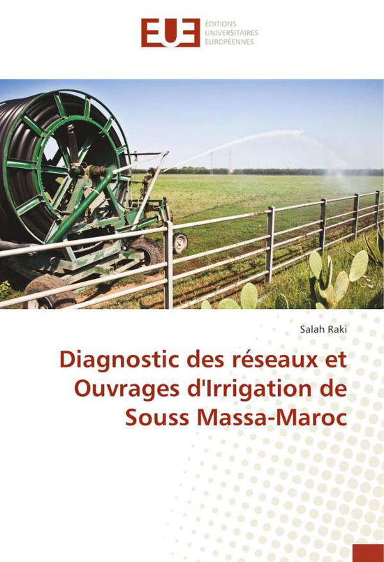 Cover for Raki · Diagnostic des réseaux et Ouvrages (Book)