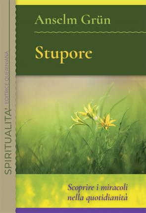 Cover for Anselm GrÃ¼n · Stupore. Scoprire I Miracoli Nella Quotidianita. Nuova Ediz. (Book)