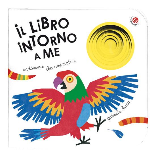 Cover for Gabriele Clima · Il Libro Intorno A Me. Ediz. A Colori (Book)