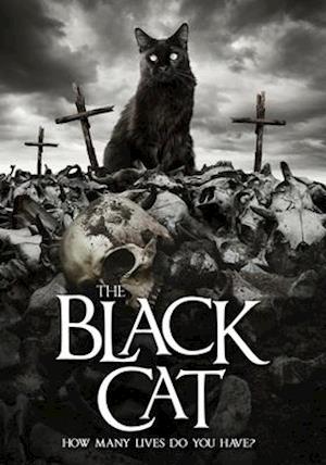 Cover for Black Cat · The Black Cat (DVD) (2020)