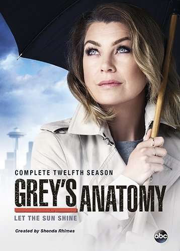 Cover for Grey's Anatomy: the Complete T · Greys Anatomy: the Complete Twelfth Season - Grey (DVD) (2023)