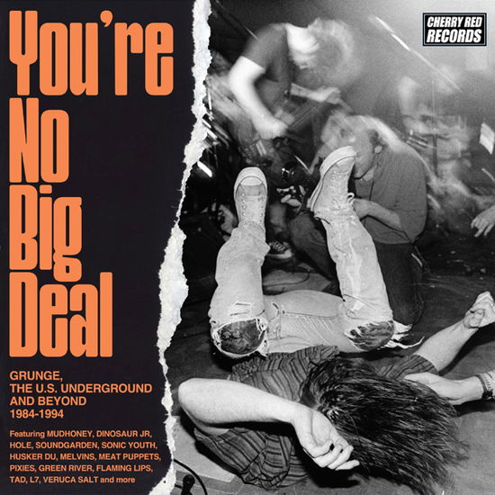 Cover for You're No Big Deal - Grunge, The U.S. Underground And Beyond 1984-1994 (CD) (2025)