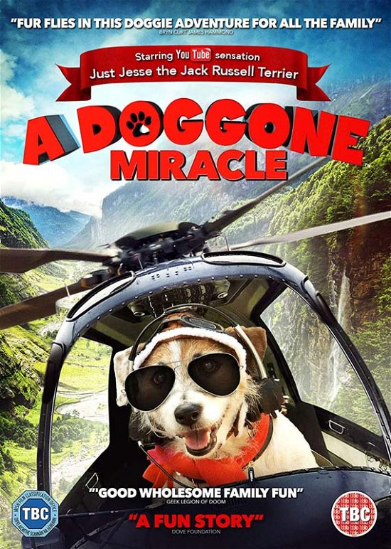 A Doggone Miracle - A Doggone Miracle - Films - High Fliers - 5022153105994 - 25 mars 2019