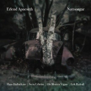 Cover for Erlend Apneseth · Nattsongar (LP) (2018)