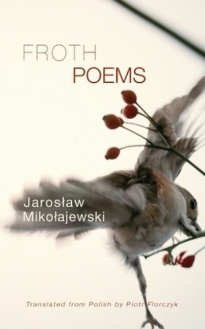 Cover for Jaroslaw Mikolajewski · Froth (Paperback Book) (2013)