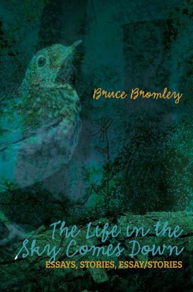 Cover for Bruce D Bromley · The Life in the Sky Comes Down: Essays, Stories, Essay / Story (Paperback Book) (2017)