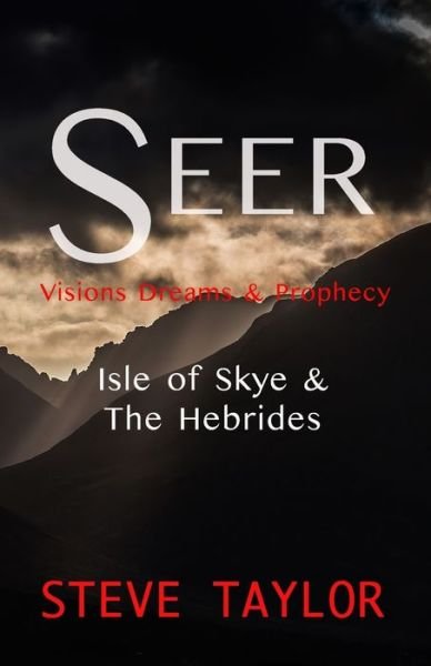 Cover for Steve Taylor · Seer (Bog) (2023)