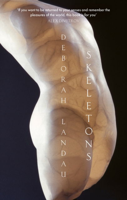 Cover for Deborah Landau · Skeletons (Paperback Book) (2024)