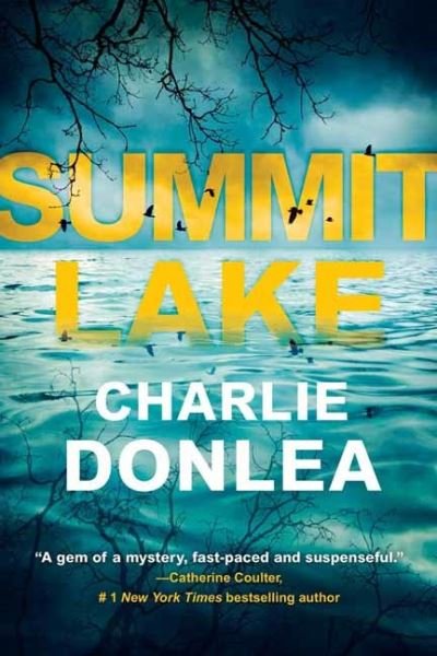 Cover for Charlie Donlea · Summit Lake (Paperback Book) (2022)