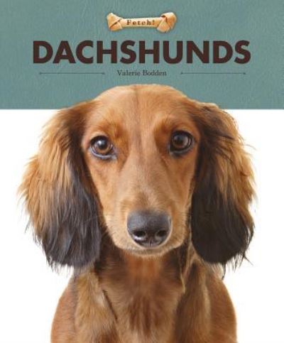 Cover for Valerie Bodden · Dachshunds (Hardcover bog) (2018)