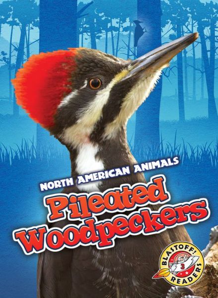 Cover for Rebecca Sabelko · Pileated Woodpeckers (Hardcover Book) (2018)