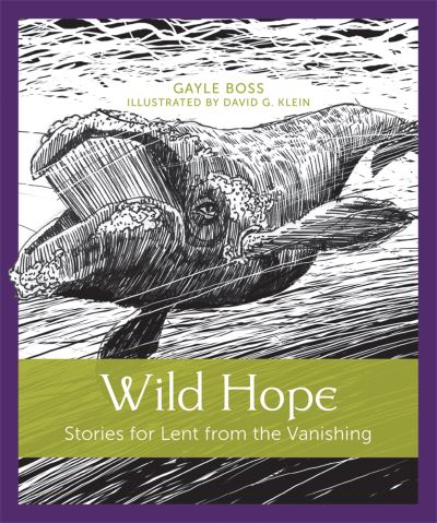 Wild Hope - Gayle Boss - Books - Paraclete Press, Incorporated - 9781640601994 - January 21, 2020