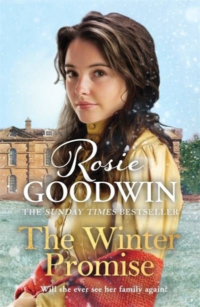 The Winter Promise: A perfect cosy Victorian saga from the Sunday Times bestselling author - Rosie Goodwin - Bøger - Zaffre - 9781838772994 - 21. januar 2021