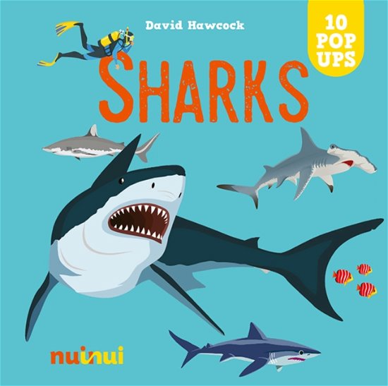 Cover for David Hawcock · Sharks - Amazing pop-ups (Hardcover Book) (2024)