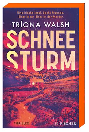 Cover for Tríona Walsh · Schneesturm (Book) (2023)