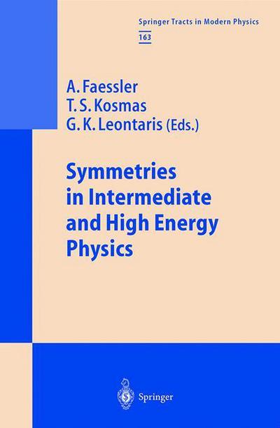 Cover for A Faessler · Symmetries in Intermediate and High Energy Physics - Springer Tracts in Modern Physics (Paperback Book) [Softcover reprint of the original 1st ed. 2000 edition] (2010)