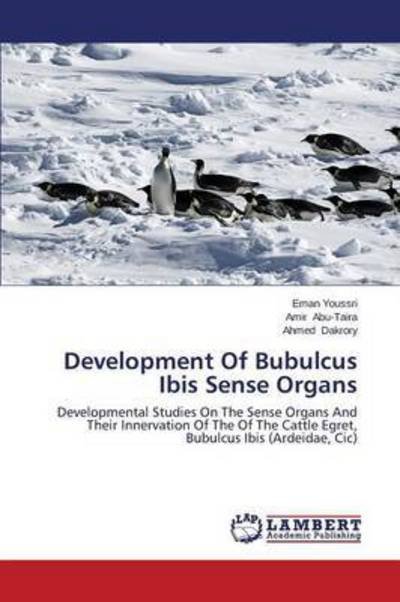 Cover for Dakrory Ahmed · Development of Bubulcus Ibis Sense Organs (Paperback Book) (2014)
