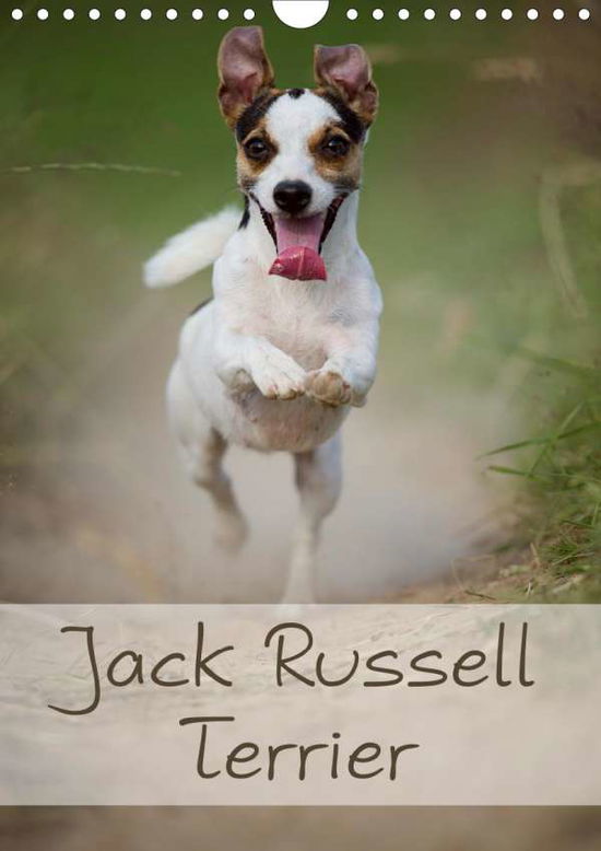 Jack Russell Terrier (Wandkalende - Noack - Books -  - 9783670482994 - 