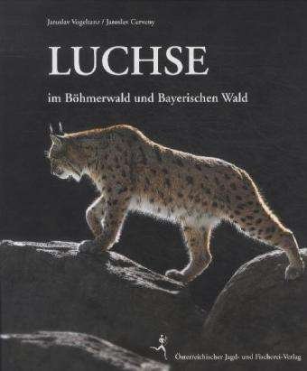 Cover for Vogeltanz · Luchse (Bog)