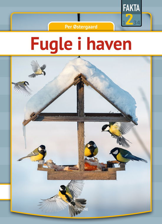 Cover for Per Østergaard · Fakta 2: Fugle i haven (Hardcover bog) [1. udgave] (2025)