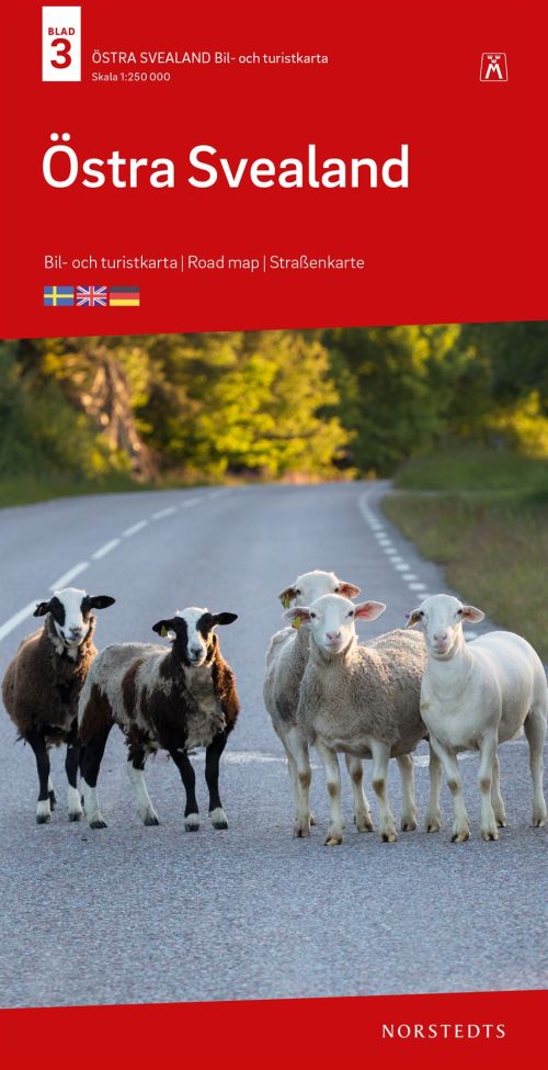 Bil- & turistkartan: Östra Svealand : bil- och turistkarta - road map - Straßenkarte - Norstedts - Books - Norstedts - 9789113105994 - February 3, 2020