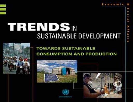 Cover for United Nations: Department of Economic and Social Affairs · Trends in sustainable development: towards sustainable consumption and production (Paperback Book) (2013)