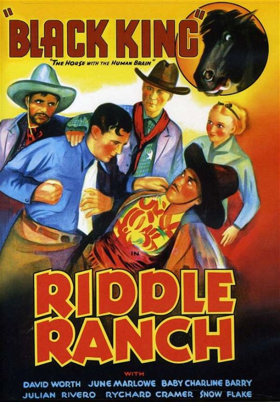 Cover for Riddle Ranch (DVD) (2011)