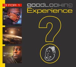 Goodlooking Experience - Various Artists - Musik - GOOD LOOKING - 0090204925995 - 2. maj 2005