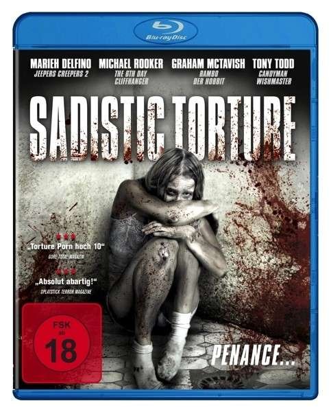 Cover for Delfino / Rooker / Mctavish · Sadistic Torture (Blu-ray) (2013)