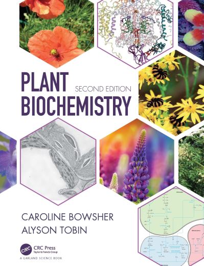 Cover for Bowsher, Caroline (University of Manchester, UK) · Plant Biochemistry (Paperback Book) (2021)