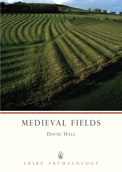 Cover for David Hall · Medieval Fields - Shire Archaeology (Paperback Book) (2010)