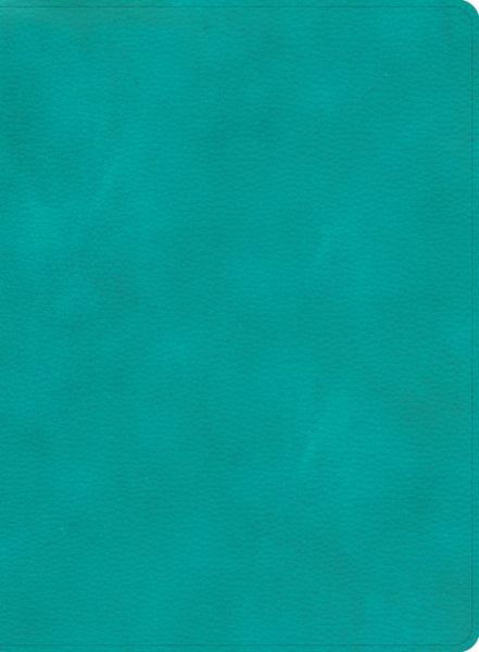 Cover for Csb Bibles By Holman · CSB Apologetics Study Bible, Teal LeatherTouch (Läderbok) (2022)