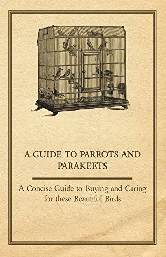 Cover for Anon · A Guide to Parrots and Parakeets - a Concise Guide to Buying and Caring for These Beautiful Birds (Paperback Book) (2011)