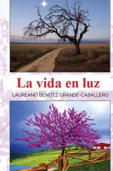 Cover for Laureano Benitez Grande-caballero · La Vida en Luz: Antologia De Textos Con Valores Para El Desarrollo Personal (Paperback Book) (2015)