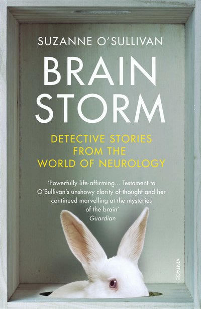 Cover for Suzanne O'Sullivan · Brainstorm: Detective Stories From the World of Neurology (Paperback Bog) (2019)