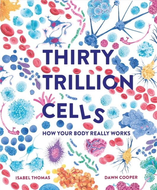 Thirty Trillion Cells: How Your Body Really Works - Isabel Thomas - Livros - Hachette Children's Group - 9781803380995 - 29 de agosto de 2024