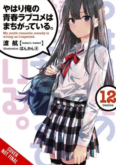 Cover for Wataru Watari · My Youth Romantic Comedy Is Wrong, As I Expected, Vol. 12 (light novel) (Paperback Book) (2021)