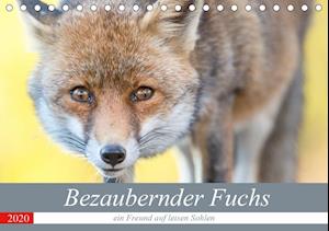 Bezaubernder Fuchs - ein Freund a - Petzl - Bücher -  - 9783671095995 - 