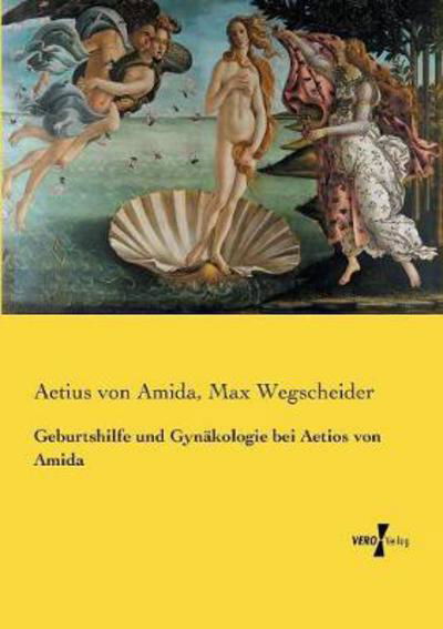 Cover for Amida · Geburtshilfe und Gynäkologie bei (Buch) (2019)