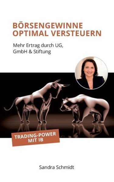 Cover for Sandra Schmidt · Boersengewinne optimal versteuern: Mehr Ertrag durch UG, GmbH &amp; Stiftung (Paperback Book) (2020)