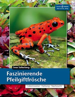 Cover for Salterberg · Faszinierende Pfeilgiftfrösc (Book)