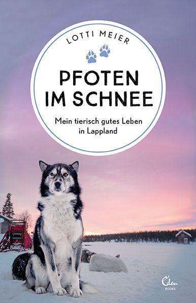 Cover for Meier · Pfoten im Schnee (Book)